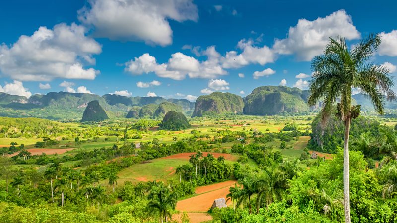 cuba vue campagne