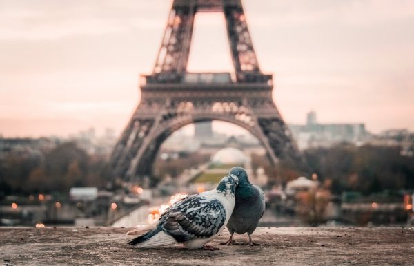 en amoureux à Paris