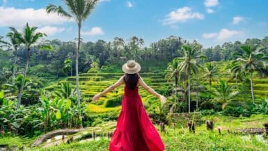 bali rizieres