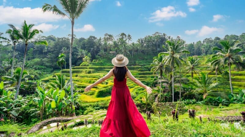 bali rizieres