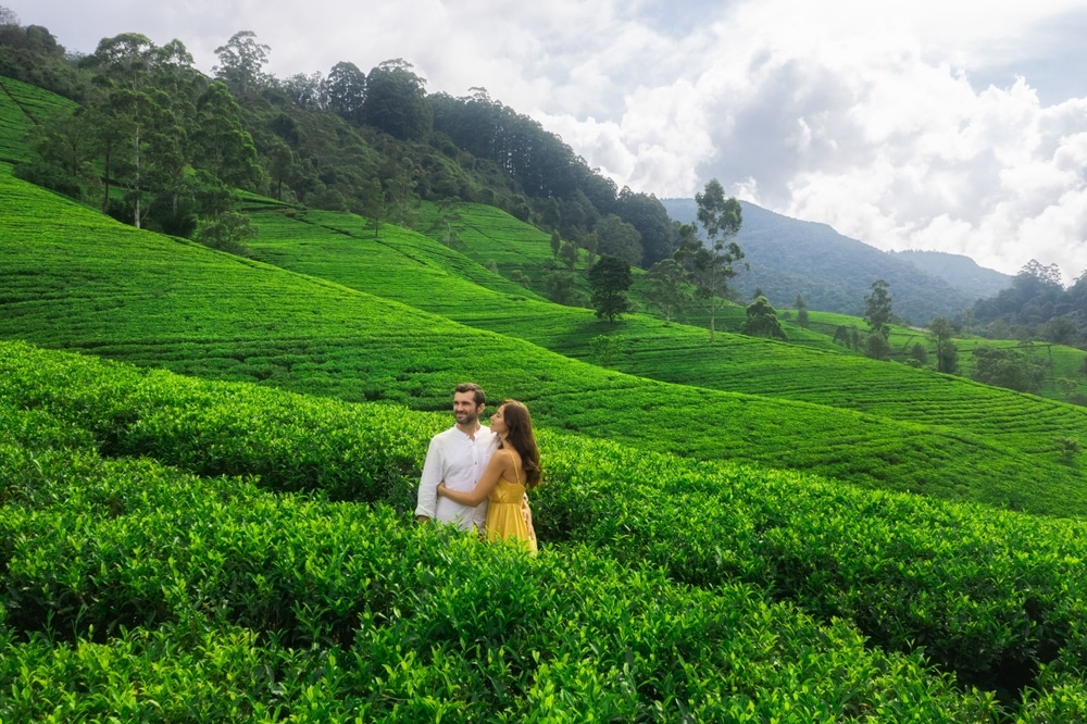 Sri Lanka en amoureux